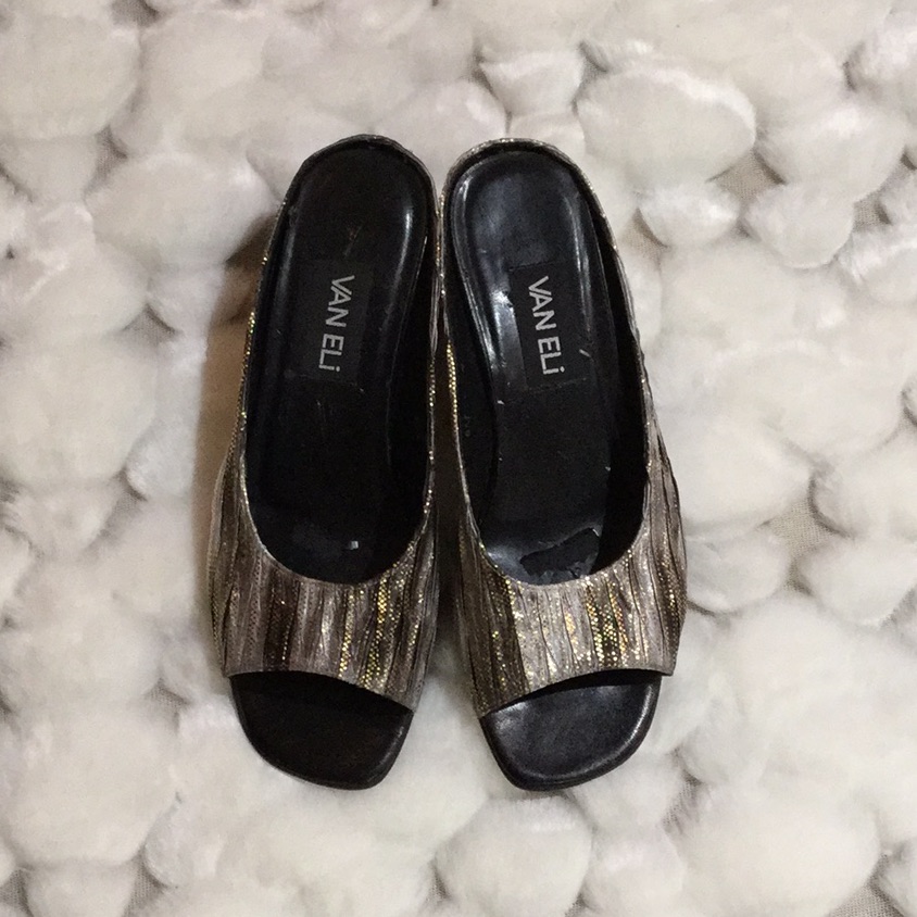 Vaneli Slides